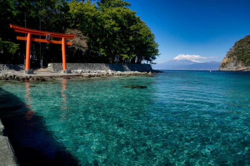 Tokyo: Izu Peninsula Fun Diving and Sightseeing Tour - Who Will Love This Tour?