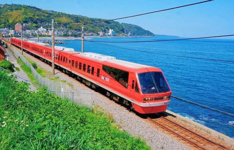 Tokyo: Izu Scenic Oceanview Train, Volcano, Coast Day Trip - Starting in Shinjuku: A Smooth Departure
