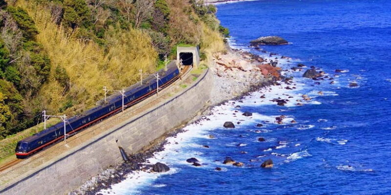 Tokyo: Izu Scenic Oceanview Train, Volcano, Coast Day Trip - Izu Cactus & Animal Park: A Whimsical Stop