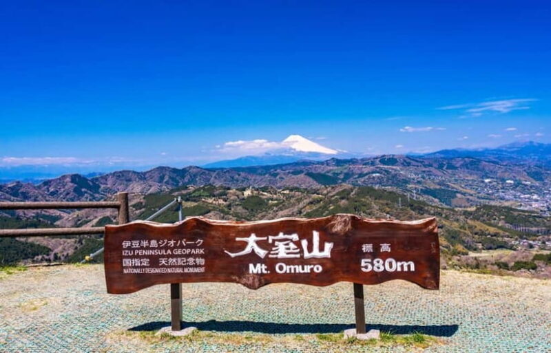 Tokyo: Izu Scenic Oceanview Train, Volcano, Coast Day Trip - A Brief Pause at Ito Marine Town