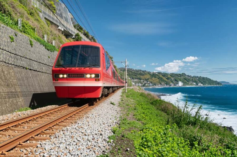 Tokyo: Izu Scenic Train, Kawazu Cherry Blossom & HotelPickup - Who Would Love This Tour?