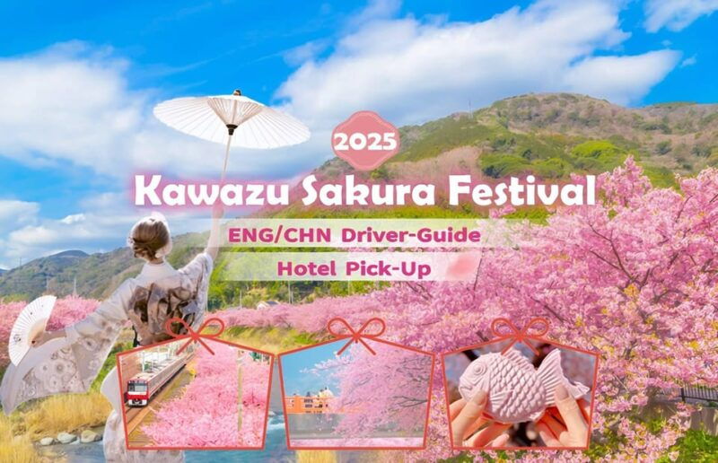 tokyo-izu-scenic-train-kawazu-cherry-blossom-hotelpickup