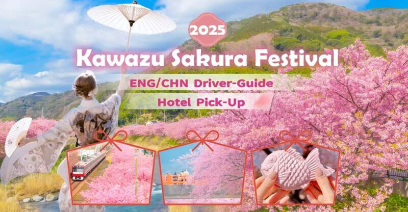 tokyo-izu-scenic-train-kawazu-cherry-blossom-hotelpickup
