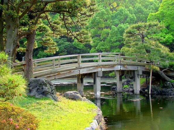 tokyo-japanese-garden-and-surroundings-guided-walking-tour-2