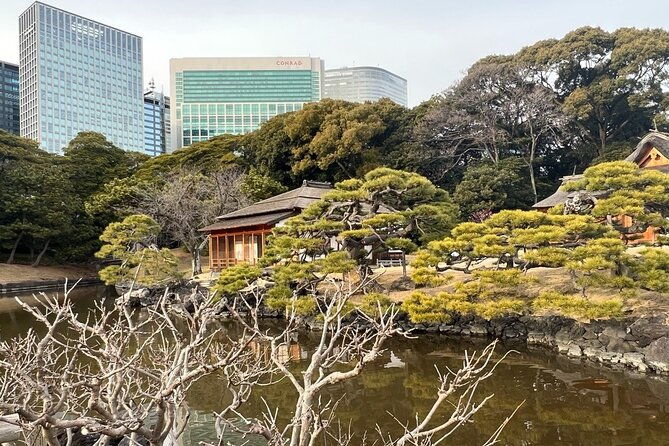 tokyo-japanese-garden-and-surroundings-guided-walking-tour-2