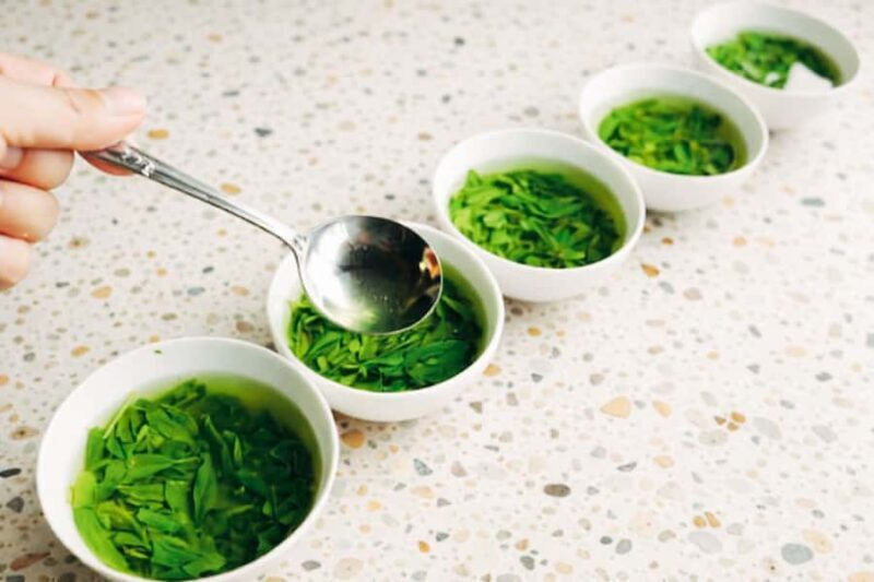 Tokyo: Japanese Green Tea Tasting Experience - Introduction