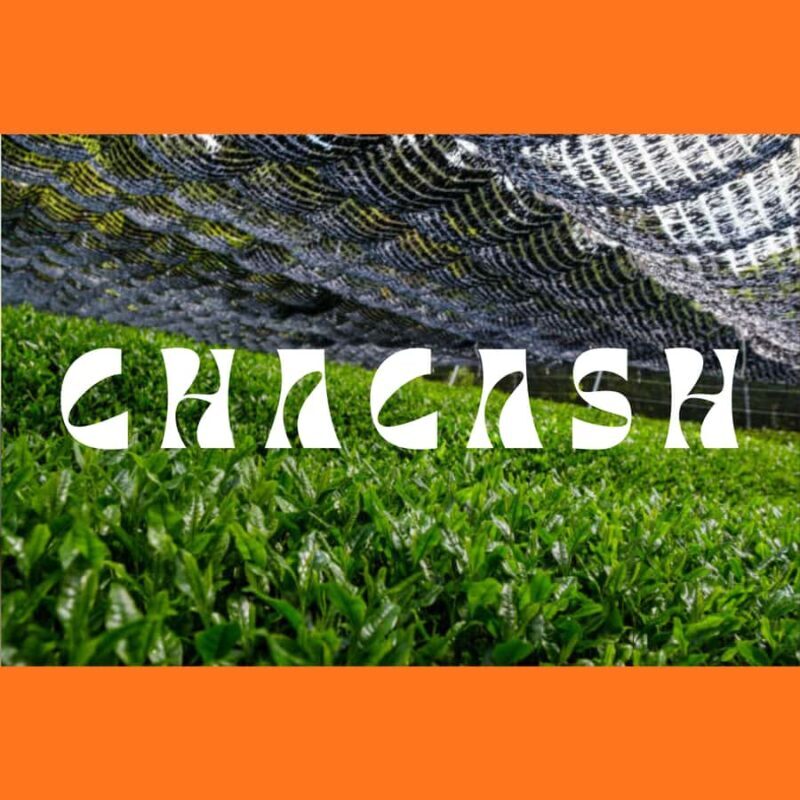 Tokyo: Japanese Green Tea Tasting Experience - The Sum Up