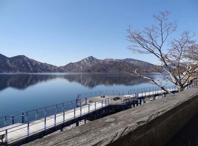 Tokyo: Jigokudani Snow Monkey Park Private Customized Tour - The Sum Up