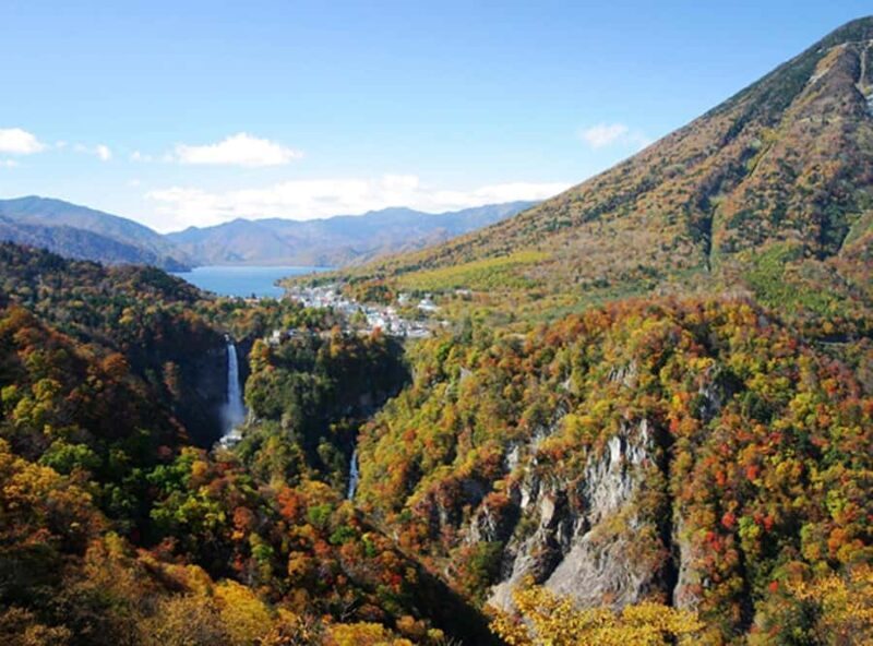 Tokyo: Jigokudani Snow Monkey Park Private Customized Tour - FAQ