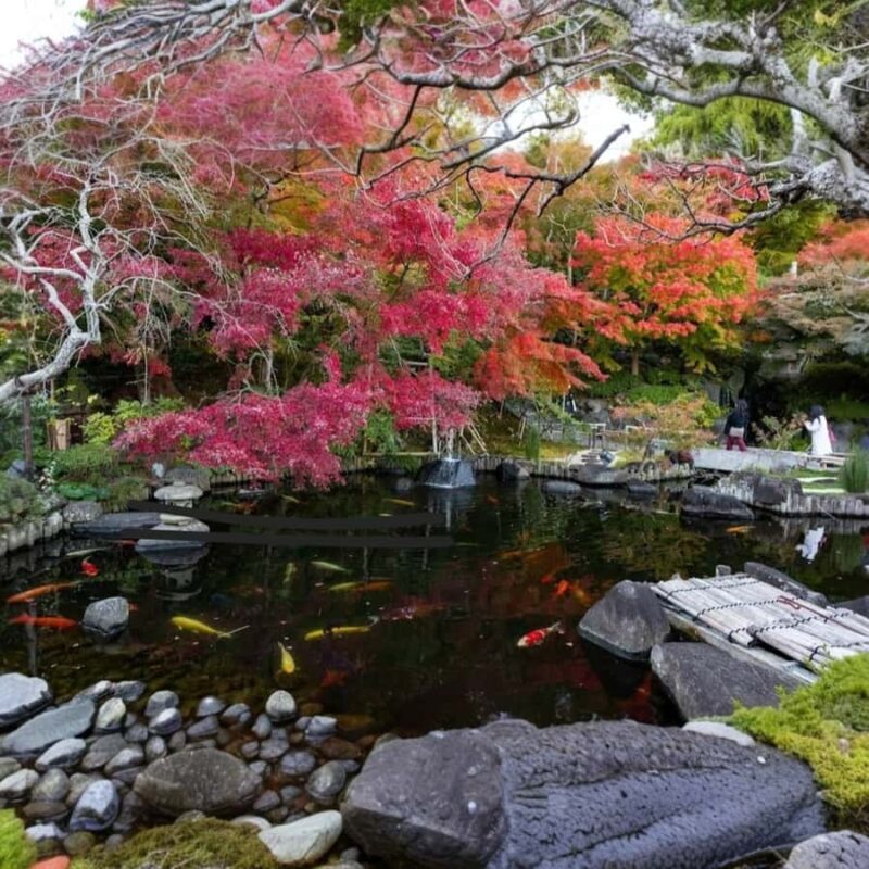 Tokyo: Kamakura and Yokohama Private Car Tour - Final Thoughts: Who Would Love This Tour?