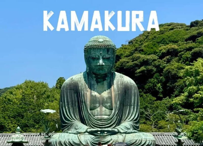 Tokyo: Kamakura & Enoshima Day Tour with Pickup & Train Ride - Who Will Love This Tour?