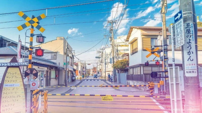 Tokyo: Kamakura & Enoshima Island /w Pick Up & Train Ride - Introduction