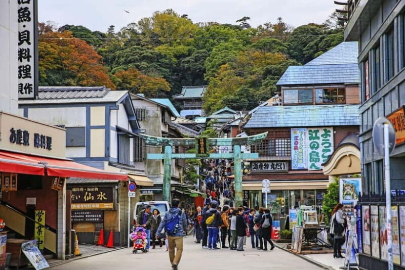 Tokyo: Kamakura & Enoshima Island /w Pick Up & Train Ride - Authentic Insights from Reviewers