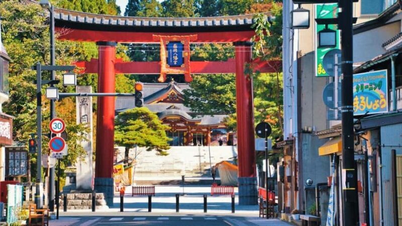 Tokyo: Kamakura & Enoshima private tour - Giant Buddha - A Closer Look at the Experience