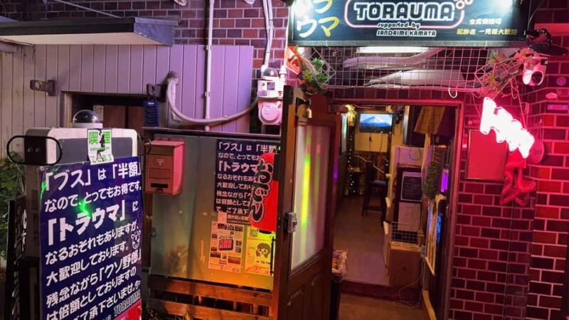 Tokyo: Kamata Oden, Sake & Karaoke Bar Experience - What Is the Kamata Oden, Sake & Karaoke Experience?