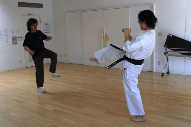 tokyo-karate-experience-with-former-all-japan-champion
