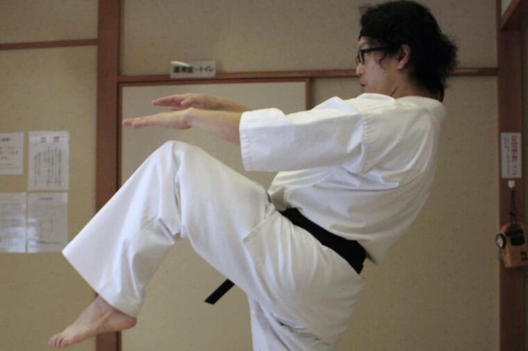 tokyo-karate-experience-with-former-all-japan-champion