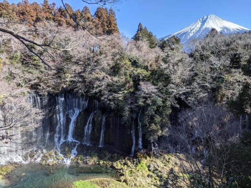Tokyo: Karuizawa Scenic Highlights & Outlet Shopping Tour - Key Points