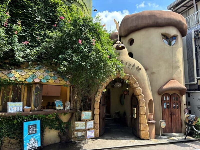 Tokyo: Kichijoji Food and Anime Walking Tour with Lunch - Who Is This Tour Best For?