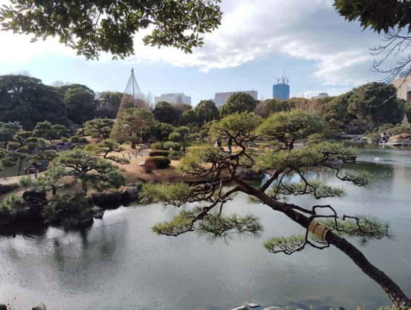 Tokyo: Kiyosumi Garden Guided Tour - Who Should Consider This Tour?