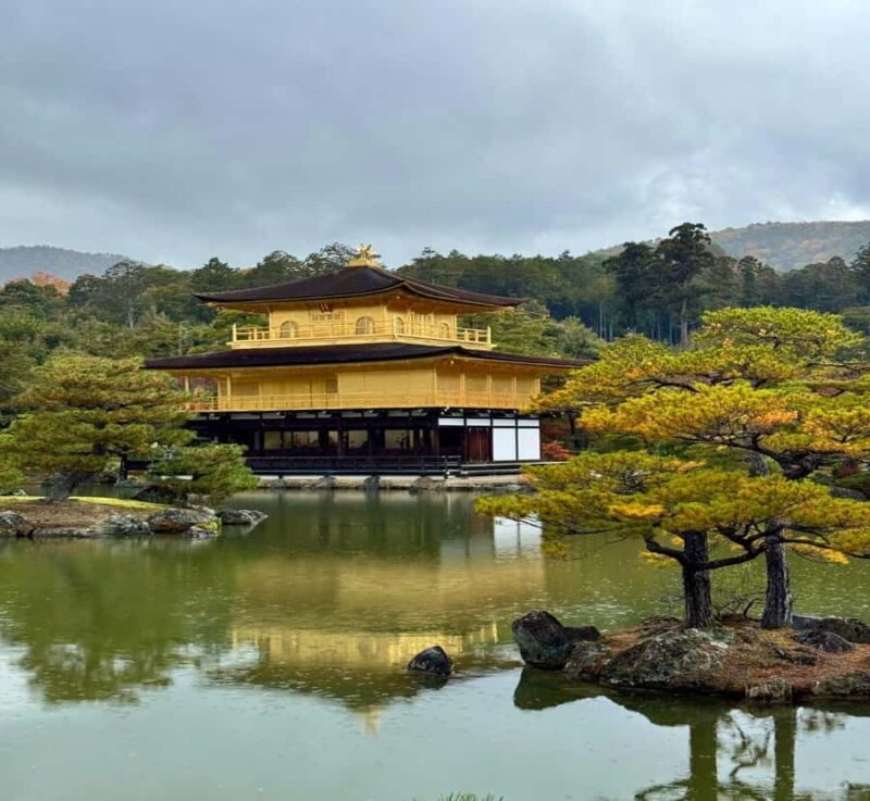 Tokyo: Kyoto Private Customized Tour with Guide & Transfer - The Value of a Private, Customized Tour