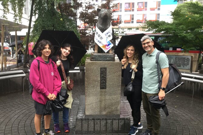 tokyo-layover-tour-english-speaking-driver-only-nrt-airport-dep