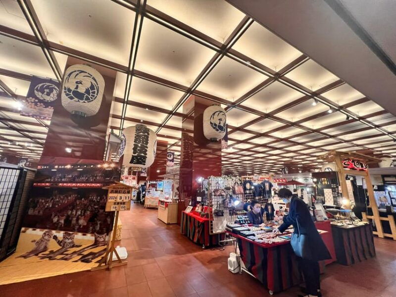 tokyo-learn-about-japanese-traditional-art-kabuki-in-ginza