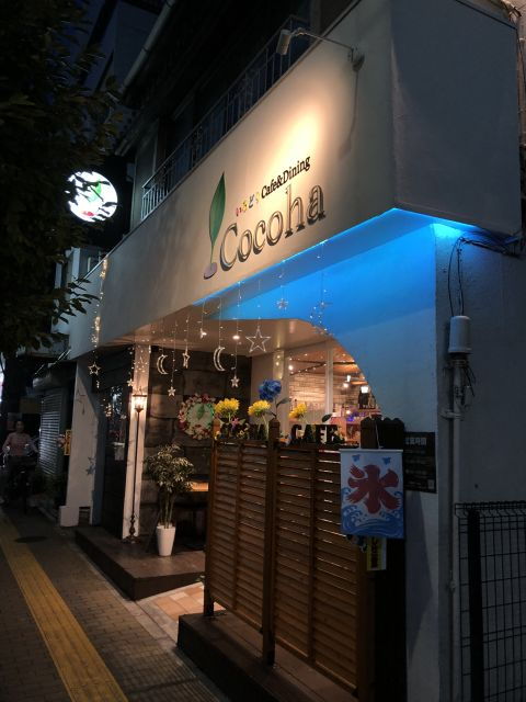 tokyo-master-the-art-of-traditional-origami-with-a-local