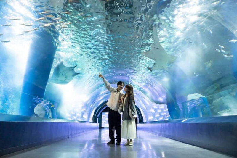 Tokyo: Maxell Aqua Park Shinagawa Direct Entry Ticket - The Location and Accessibility