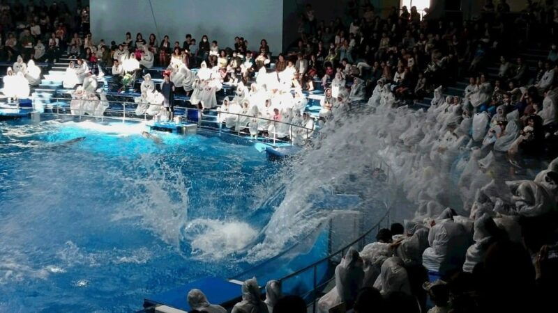 tokyo-maxell-aqua-park-shinagawa-entry-ticket