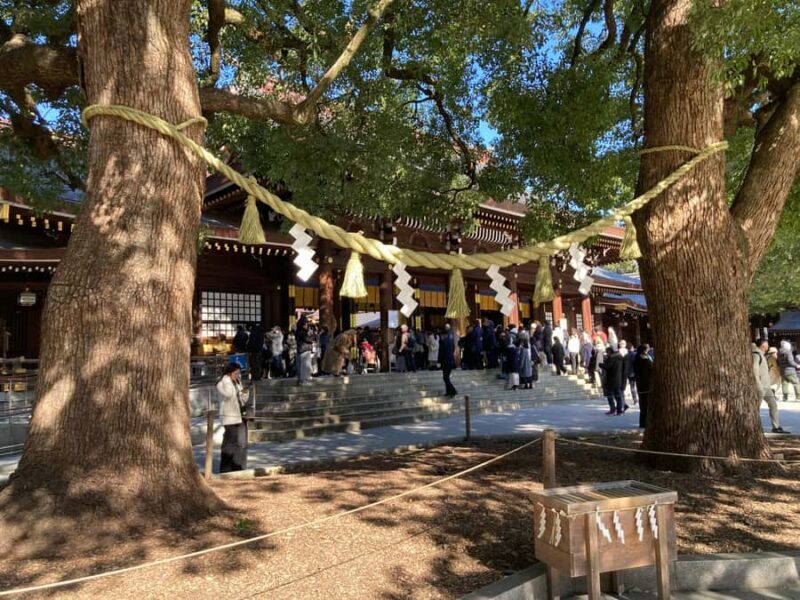 Tokyo: Meiji Jingu Historical Walk and Food Tasting Tour - Key Points