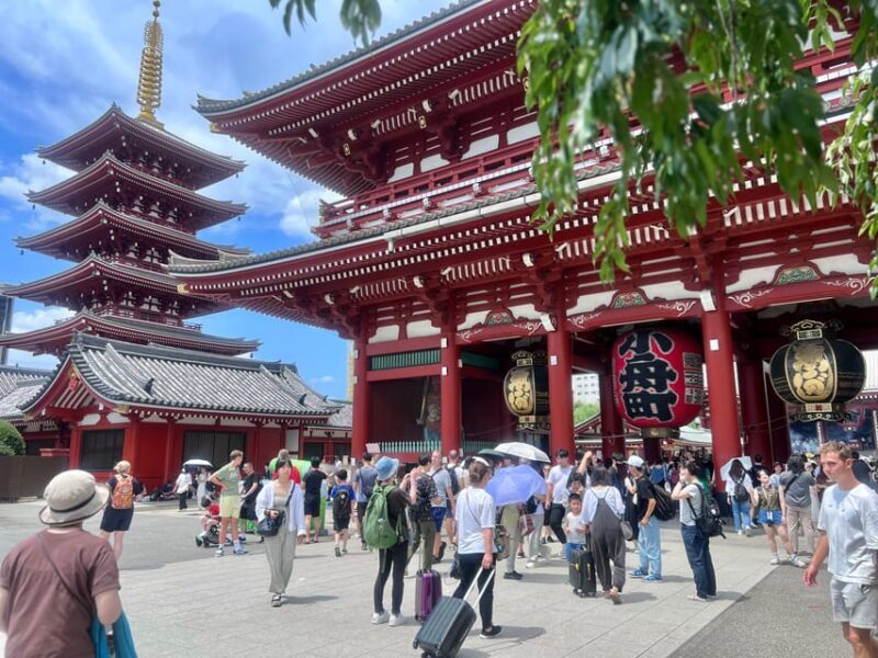 Tokyo: Meiji Jingu Shrine and Shinto Culture Walking Tour - The Value of the Experience