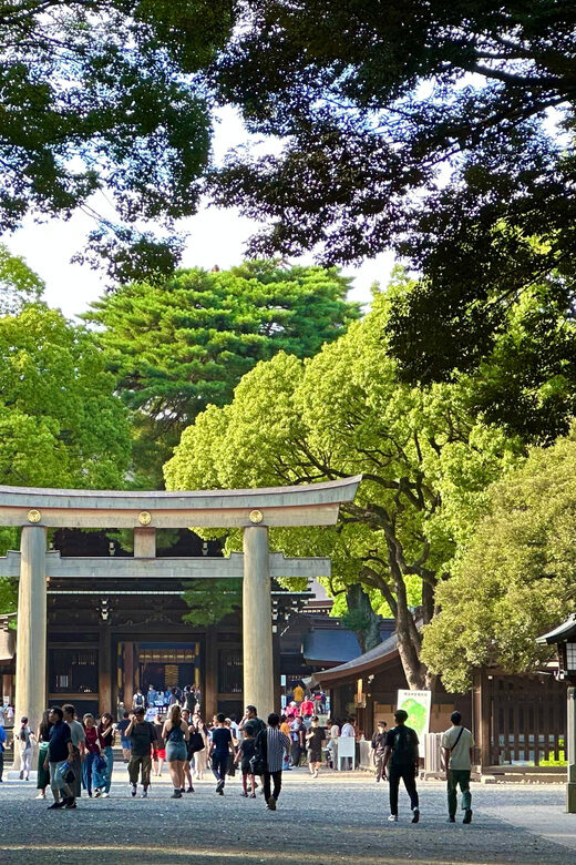 Tokyo: Meiji Jingu Shrine and Shinto Culture Walking Tour - Final Thoughts
