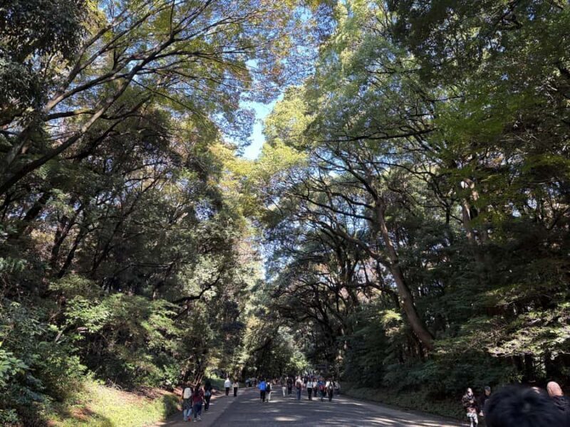 Tokyo: Meiji Jingu Shrine, Forest & Imperial Garden - Authentic Insights from Reviewers