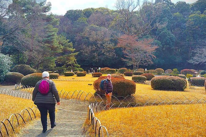 tokyo-meiji-jingu-shrine-inner-garden-private-tour-2h