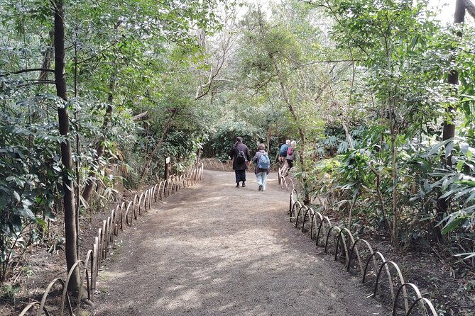 tokyo-meiji-jingu-shrine-inner-garden-private-tour-2h