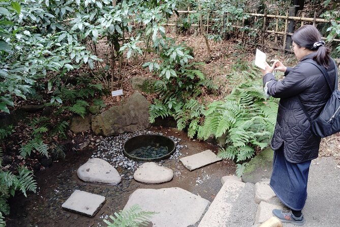 tokyo-meiji-jingu-shrine-inner-garden-private-tour-2h