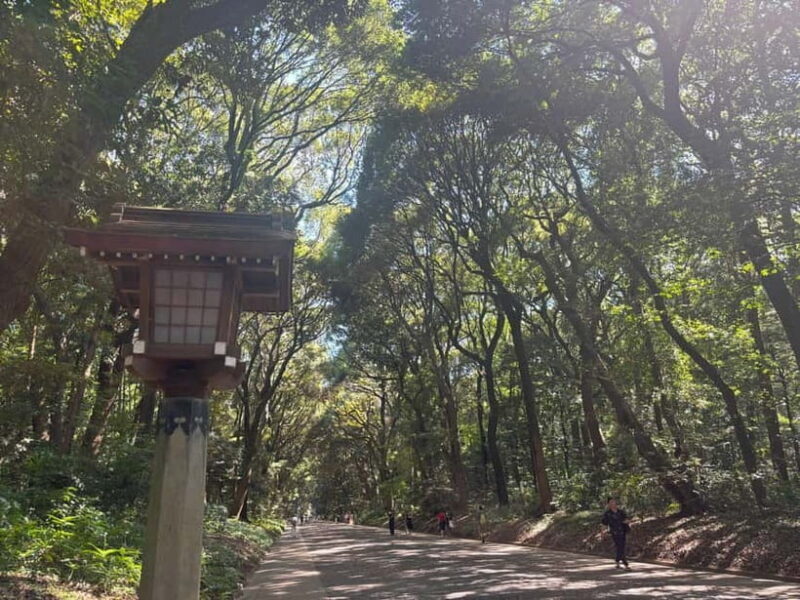 Tokyo: Meiji Jingu, Yoyogi Park & Takeshita Street Tour - An In-Depth Look at the Tour Experience