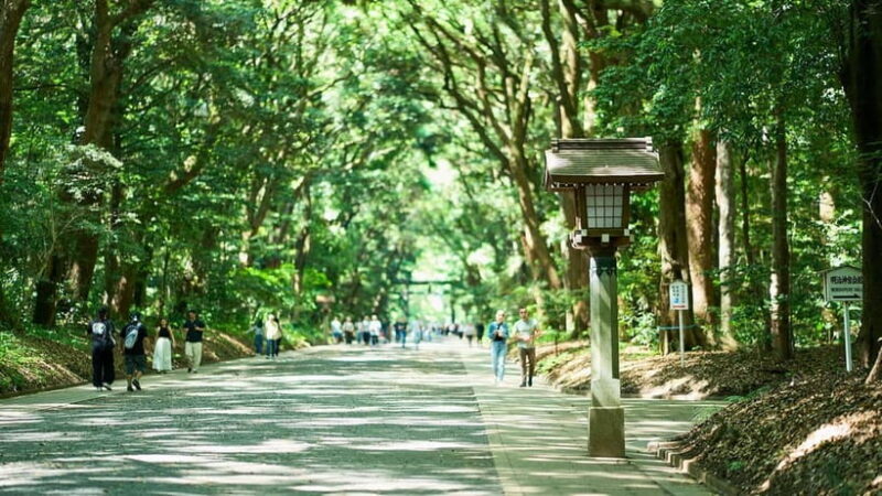 Tokyo: Meiji Shrine Walking Tour  Shinto & Imperial System - A Detailed Look at the Meiji Shrine Walking Tour