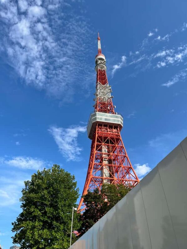 Tokyo: Midnight Halal Ramen and Mosque Tour with Guide - Key Points