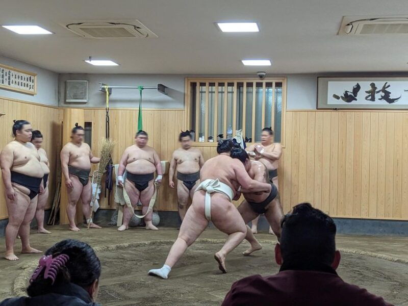 tokyo-morning-sumo-practice-viewing