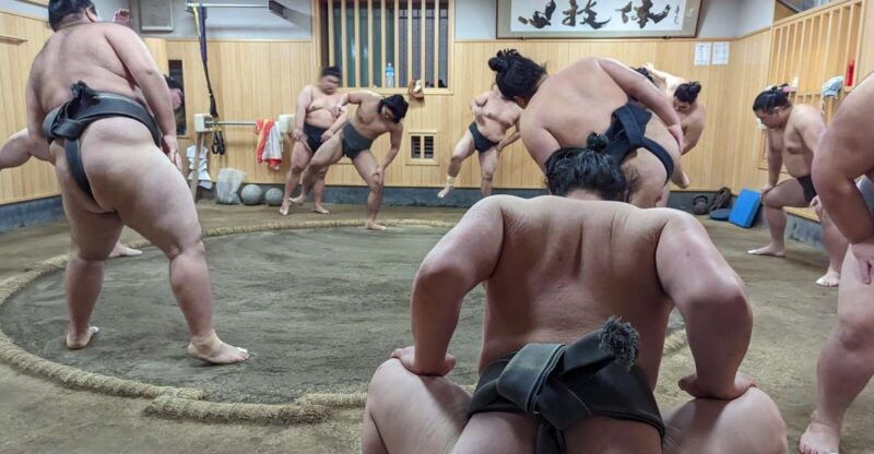 tokyo-morning-sumo-practice-viewing