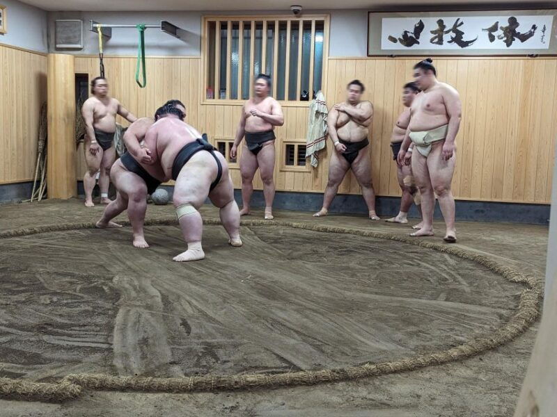tokyo-morning-sumo-practice-viewing