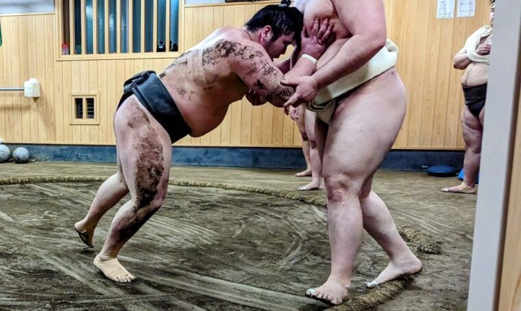 tokyo-morning-sumo-practice-viewing