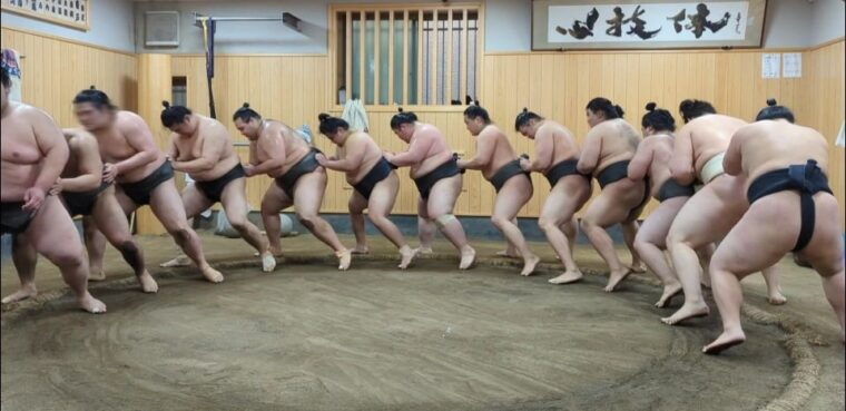 tokyo-morning-sumo-practice-viewing