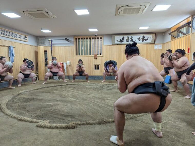 tokyo-morning-sumo-practice-viewing