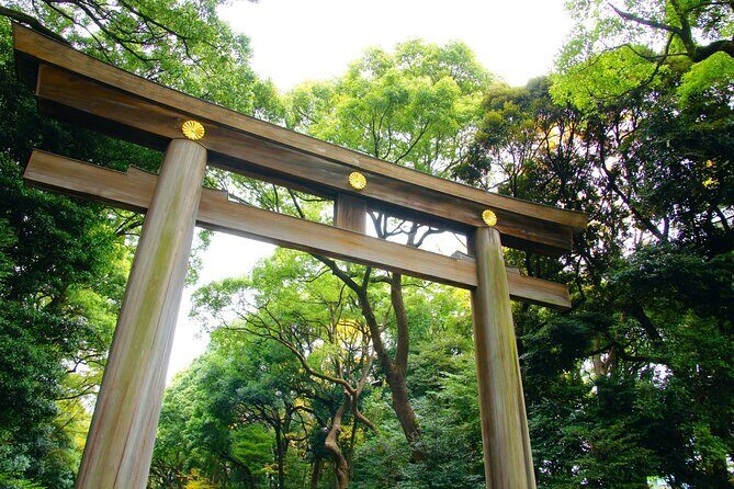 Tokyo Morning Tour Meiji Shrine, Asakusa and Local temple - The Sum Up