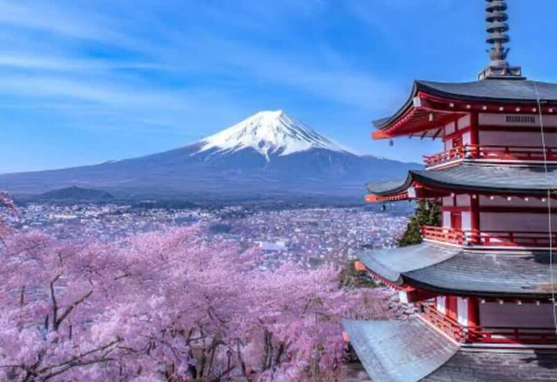 Tokyo: Mount Fuji and Hakone Private Customized Tour Guide - Key Points