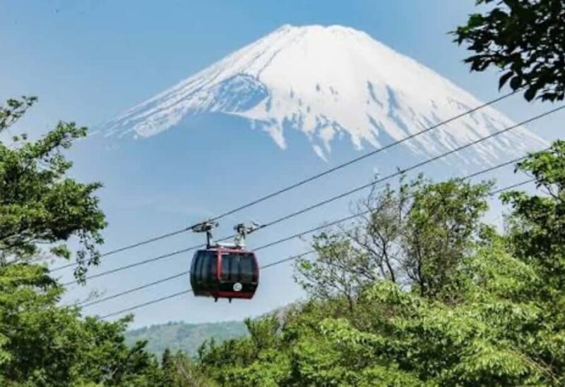 Tokyo: Mount Fuji and Hakone Private Customized Tour Guide - Why You Should Consider This Tour