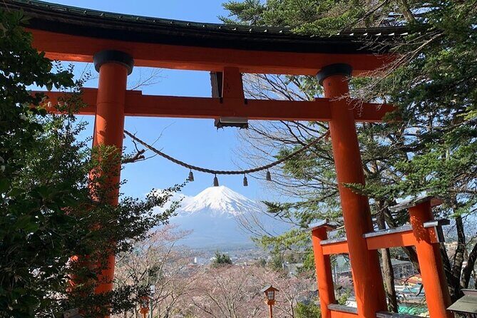 Tokyo Mount Fuji and Hakone Private Day Tour - Authentic Traveler Insights